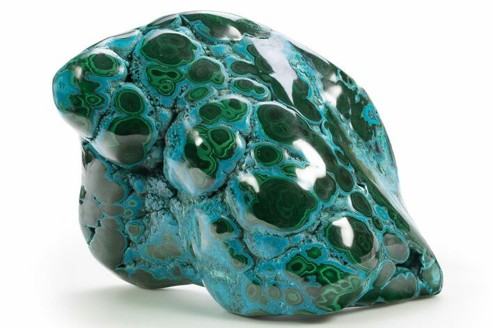 Vibrant Polished Malachite with Chrysocolla - DR Congo #320441
